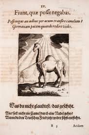 Domesticated more than 3,000 years ago, the animals can tote 200 pounds dozens of miles per day , traveling as fast as horses. Dromedary Wikipedia