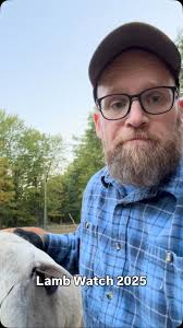 Cooper Flag's Sheep Update: What's Next for the Flock?