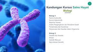 Maybe you would like to learn more about one of these? Taklimat Pemilihan Aliran Program Asasi Pengajian Islam Dan Sains Apids Sesi 20202021 Youtube