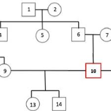 An Example Of Pedigree Graph With Half Siblings Download