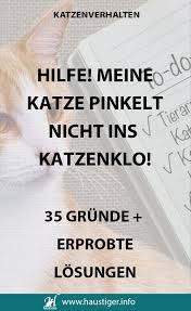 35 Grunde Fur Unsauberkeit Bei Katzen Und Losungen Katzen Klo Katzenklo Katzen Toilette