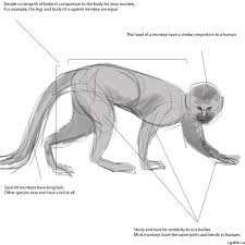 How to draw a monkey step by step drawing guide easy. Easy How To Draw A Realistic Monkey Novocom Top