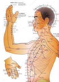 Alternative Medicine Acupuncture Chart Stock Photo