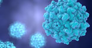 Image result for Blue 1998 AAV