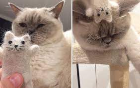 Cat From Cat Hair Fiber Arts Fiber Art Crochet Projects Crafts