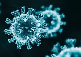 Don't click on any links, please send it to phishing@sars.gov.za. Scientists Compare Novel Coronavirus With Sars And Mers Viruses The Scientist Magazine
