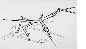 Color in this picture of a pogo stick and others with our library of online coloring pages. Colouring Pages For Kids And Adults Natural History Museum