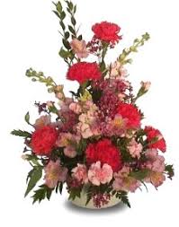 Where to buy amazon returns pallets near you. How Sending Carnations Says More Than You Think