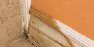 So don't just hang out in the most popular areas of the house. Top 8 Hidden Places You Might Find Mold