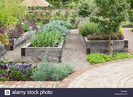 raised beds made of quercus robur