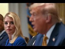 Pedro Falcon's Instagram, Twitter & Facebook