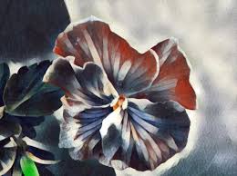 Simple flower / oil painting tutorial. Blue Flower Digital Arts By Nia Carr Artmajeur
