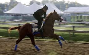 Preakness winter park faq, all you need to know to visit us in new jersey and have a wonderfull time ice skating. Vanilla Preakness Still Has Intrigue Without Derby Winner Summitdaily Com