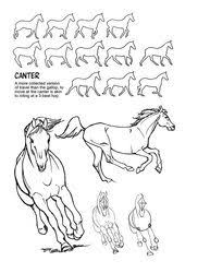 Majestic Movement How To Draw Horses Horse Drawings Horse Drawing Tutorial Animal Drawings