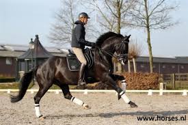 Edward gal ( born march 4, 1970 in rheden ) is a dutch dressage rider. Saumur Edward Gal En Undercover Tweede In Kur Horses Nl