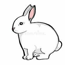 We did not find results for: Realistic Rabbit Stock Illustrations 3 411 Realistic Rabbit Stock Illustrations Vectors Clipart Dreamstime