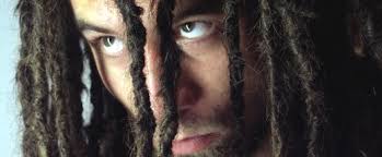 haaranalyse kein sicherer hinweis auf cannabiskonsum drugcom