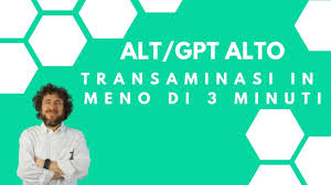 Transaminasi Alt E Ast Gpt E Got Alte E Basse Scopri I Valori Normali