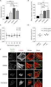 Be prepared to discuss your cat's medical history, any symptoms you have and how long will the average sibling live with bone marrow leukemia? Nuclear Shape Protrusive Behaviour And In Vivo Retention Of Human Bone Marrow Mesenchymal Stromal Cells Is Controlled By Lamin A C Expression Scientific Reports