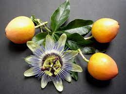 Maybe you would like to learn more about one of these? Frutto Della Passione O Maracuja Proprieta E Utilizzi