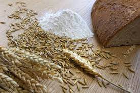 小麦粉 有機物