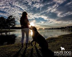 Two Feet Move Your Body Four Feet Move Your Soul Two Feet Move Your Body Four Feet Move Your Soul Dog Pictures Animal Photography Dog Photography