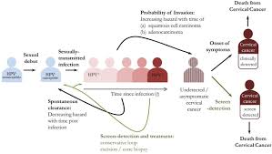 Cervical screening is a preventative test, not one to diagnose a condition. Clinical Impact And Cost Effectiveness Of Primary Cytology Versus Human Papillomavirus Testing For Cervical Cancer Screening In England International Journal Of Gynecologic Cancer