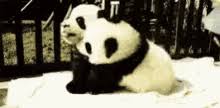Share the best gifs now >>>. Fofo Abraco Gifs Tenor