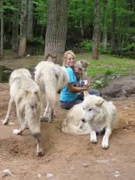 Deyoung Family Zoo Canine Zoo Keeper Jobs Zoo Veterinarian Zoo Keeper