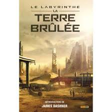 La terre brûlée (maze runner : Le Labyrinthe La Terre Brulee Le Labyrinthe La Terre Brulee James Dashner Broche Achat Livre Fnac