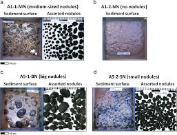 Geological survey, 400 natural bridges dr., santa cruz, ca, 95060, usa 2 helmholtz centre for ocean research kiel (geomar), 24148 kiel, germany Images Of Surface Sediments And Assorted Nodules From Box Core At Site Download Scientific Diagram