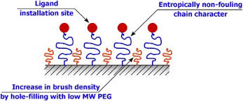 Pegylation of peptides can enhance therapeutic properties due to their increased solubility (for hydrophobic. Construction Of A Densely Poly Ethylene Glycol Chain Tethered Surface And Its Performance Polymer Journal