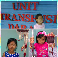 Jejak Pembawa Sifat Thalasemia Mommies Daily