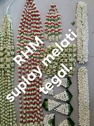 Hiasan bunga melati untuk pengantin. Paling Keren 22 Gambar Bunga Melati Untuk Pengantin Koleksi Bunga Hd