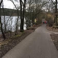 If you have photos, descriptions, contact information, social media handles, etc. Kranke Fichten Werden Gefallt Radio Euskirchen