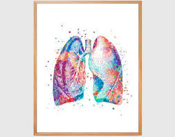 Lungs Print Human Anatomy Art Watercolor Organs Art Respiratory Print Medicine Art Clinic Wall Decor Doctor Office Gift Medic Human Anatomy Art Art Medical Art