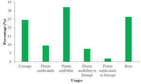 Image result for Sericostachys