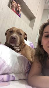 Vovo_do_rock_ (@vovo_do_rock_) criou um vídeo curto no tiktok com música som original. Videos Com Hashtag Vovo No Tiktok