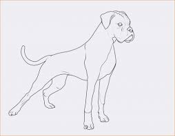 Malen Nach Zahlen Zum Ausdrucken Hund Das Beste Von