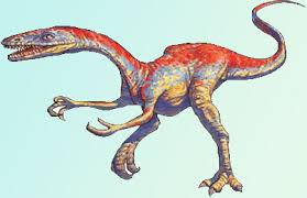 Coelophysis bauri is a small theropod dinosaur from the late triassic of the southwestern united the coelophysis mandible behaves as a simple lever, similar to that of varanus komodoensis, and. Coelophysis Dinosaur Facts Information Coelophysis Bauri