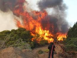 Μεγάλη πυρκαγιά στην περιοχή αγριλίτσα (χαρτησ) γιάννης φιλιππάκος. Axaia Twra Fwtia Sthn Plaka Kalabrytwn Koinwnika Nea Kai Eidhseis