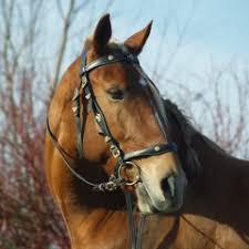 Bandari special with deejay al with deejay al. Ø¨Ù†Ø¯Ø±ÛŒ Ø´Ø§Ø¯ Ù‚Ø¯ÛŒÙ…ÛŒ Bandari Shad 3 Mp3 By Haji Alizada