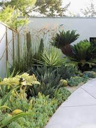 Small garden ideas and design concepts are not hard to come by online. Garden Design Johannesburg Gardendesign Succulent Landscape Design Small Backyard Landscaping Succulent Landscaping