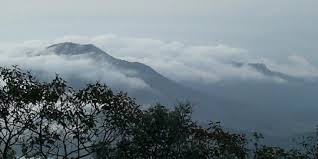 We did not find results for: Dikenal Mistis Ini Pesona Dan Cerita Sejarah Gunung Lawu Yang Jarang Diketahui Merdeka Com