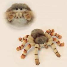 Pin On Stuffies Spiders