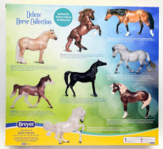 Image result for Thesium breyeri