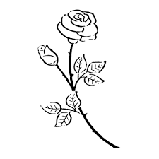 All you need is photoshop (or similar), a good photo, and a couple of minutes. Rose Coloring Pages Free Coloring Pages