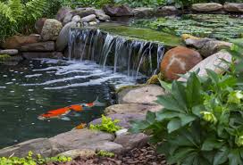 A custom yard pond & waterfall built by living waterscapes in greensboro, nc. Westerwood Garden Tour Lifestyles Greensboro Com