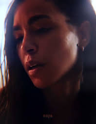 Transgender Loren Perkins