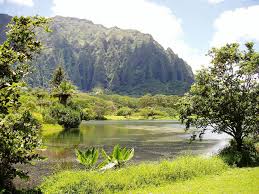 Ho'omaluhia botanical garden is a popular and vibrant paradise that shows off impressive plantings from tropical regions all across the world. Ho Omaluhia Botanical Garden Travel Guide
